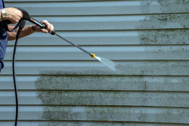Best Gutter Cleaning  in Pelham, GA